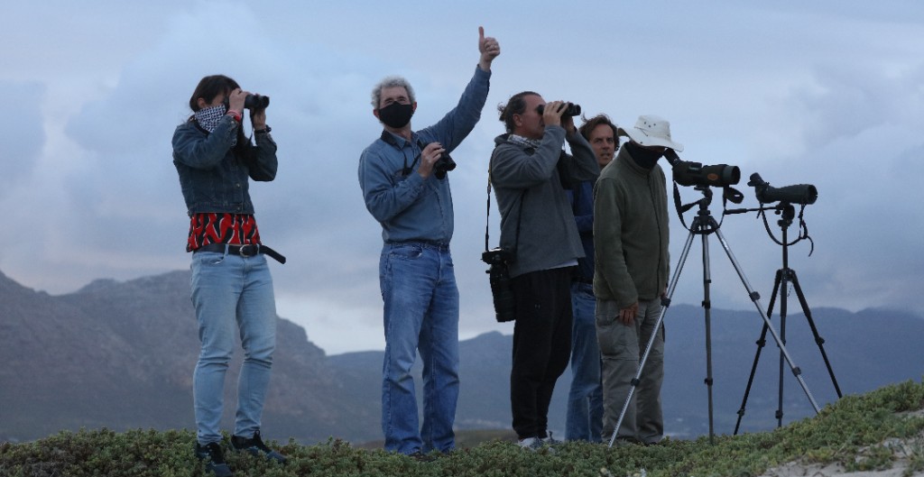 Birdwatchers with binoculars and spotting scopes on a vegetated ridge; mountains and cloudy sky behind.